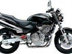 1998 Honda CB 600F Hornet